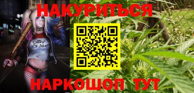 гашик Лесосибирск