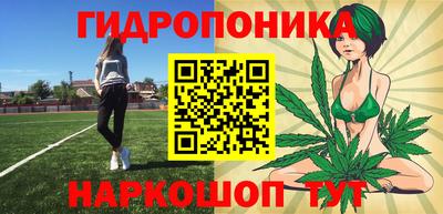 гашик Лесосибирск