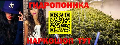 хмурый Ликино-Дулёво