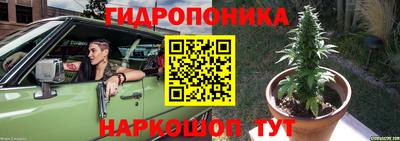 хмурый Ликино-Дулёво