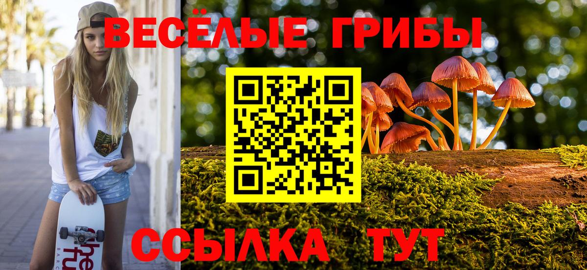 Псилоцибиновые грибы мухоморы Химки